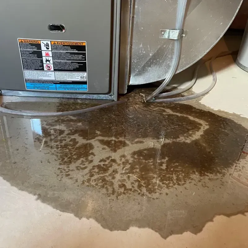 Appliance Leak Cleanup in Graysville, AL